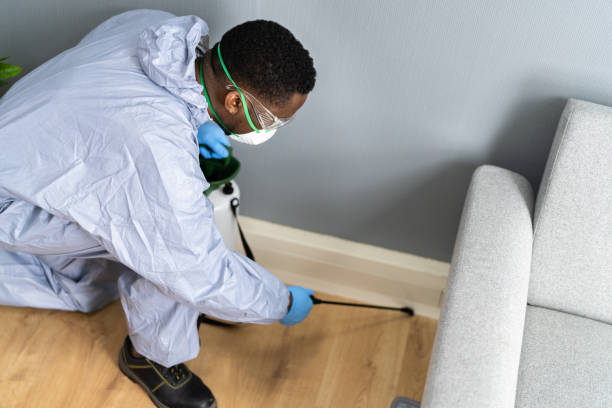 Best Pest Prevention Services  in Allyn, WA